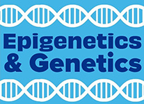 Tile Research Area 7